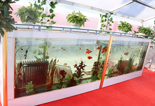 敬業(yè)醫(yī)藥工廠圖片